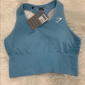 Energy Seamless Crop Top- Sky Blue